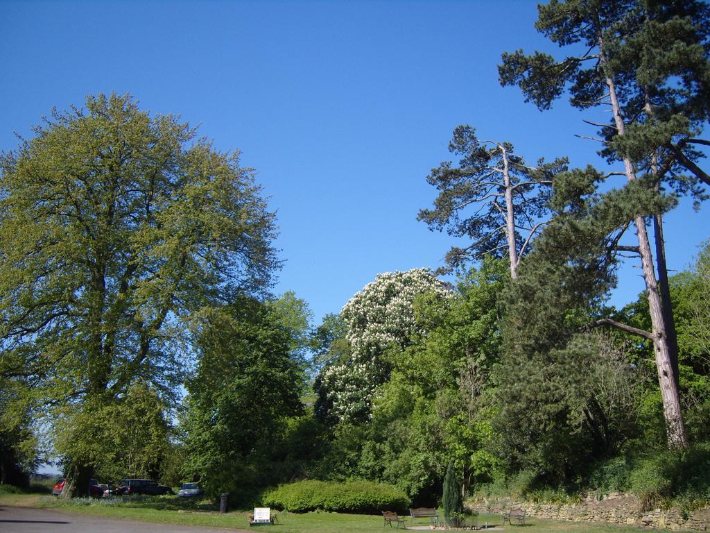 Cleeve House Bed and Breakfast Melksham Rum bild